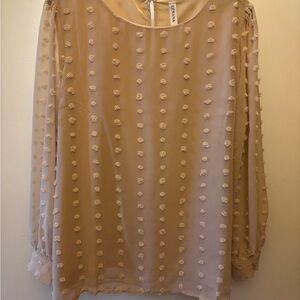 Zenana Outfitters Tan Blouse